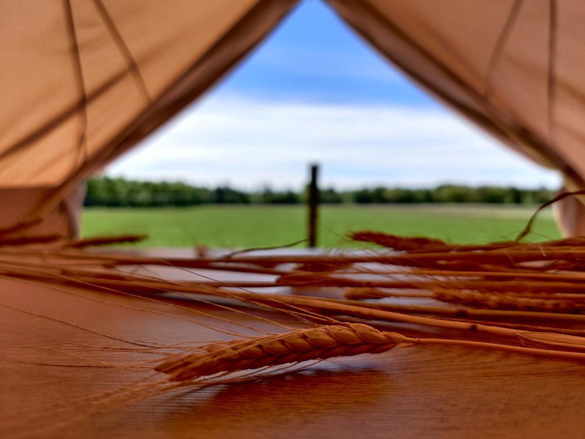 Under Canvas Bornholm Ostermarie Exteriér fotografie